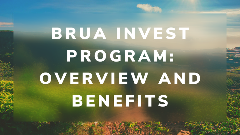 BRUA Invest Program: Overview and Benefits