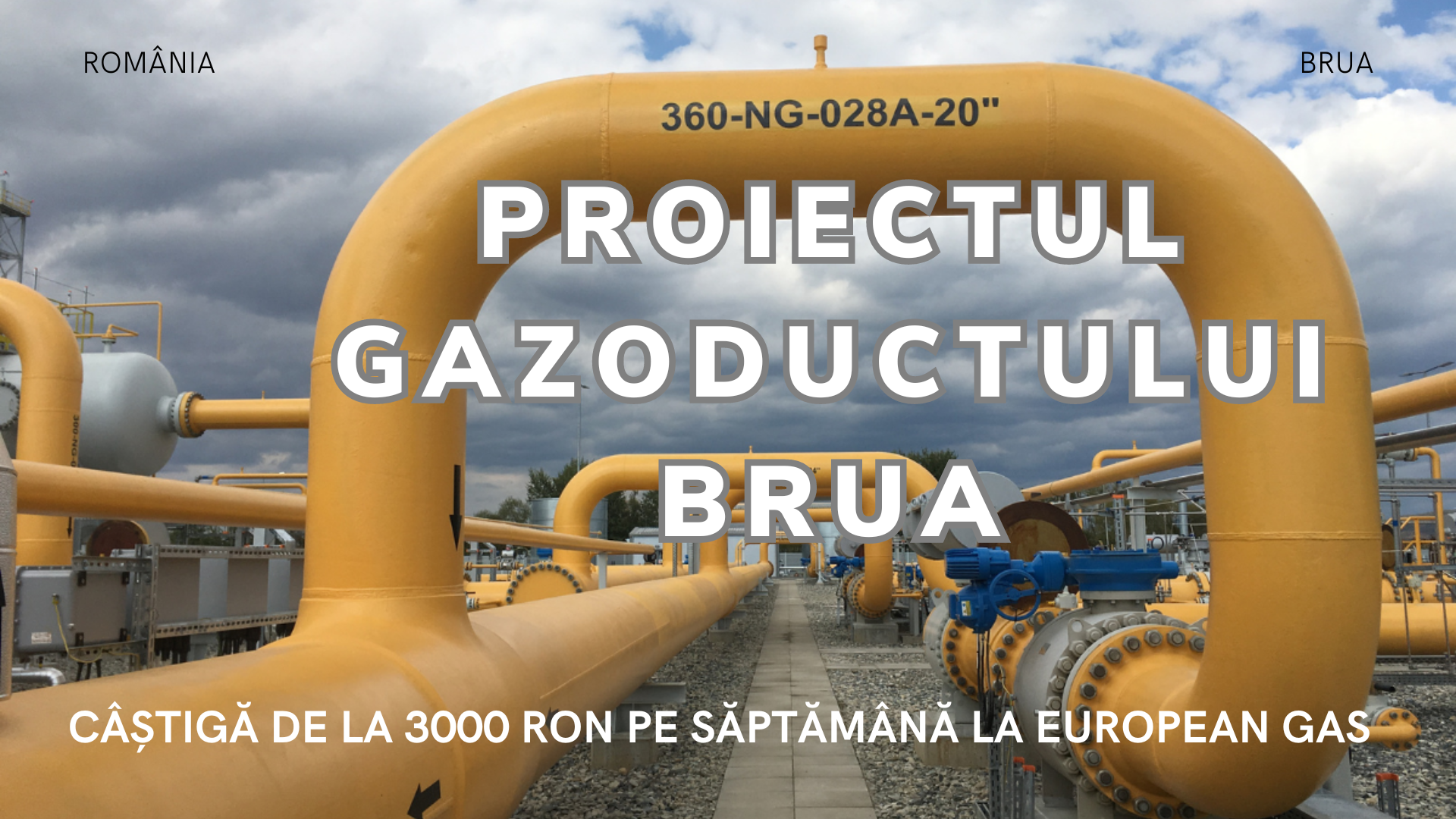 Program BRUA Invest: Prezentare Generală Și Beneficii