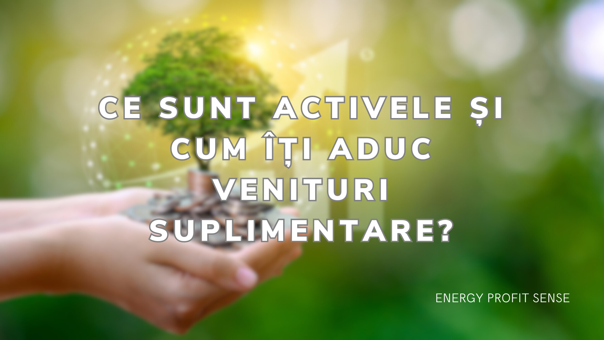 Ce Sunt Activele Și cum Îți Aduc Venituri Suplimentare?